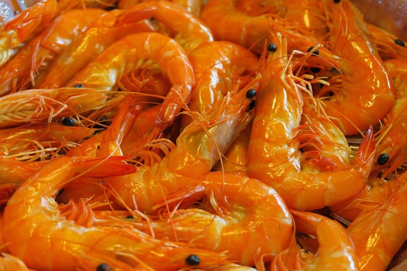 Foodie Havens