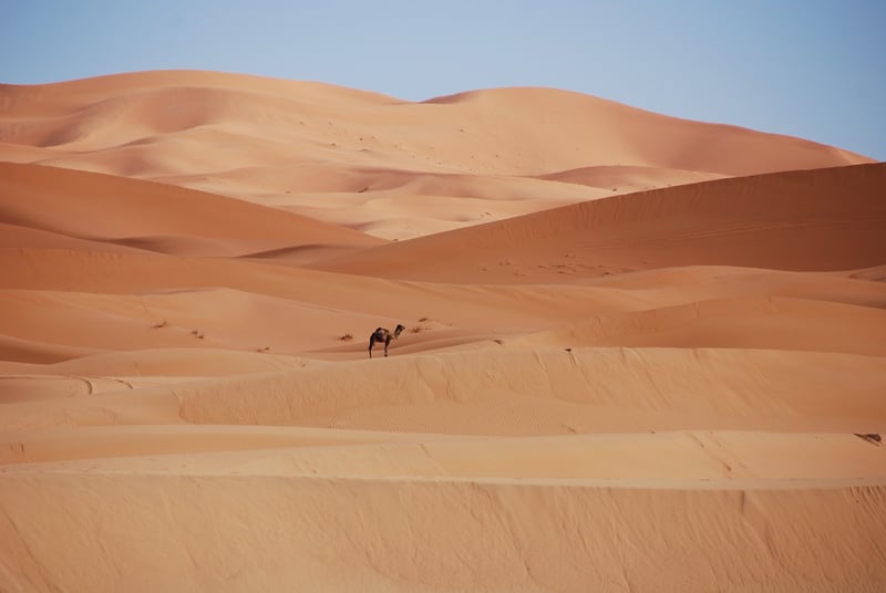 Morocco Desert